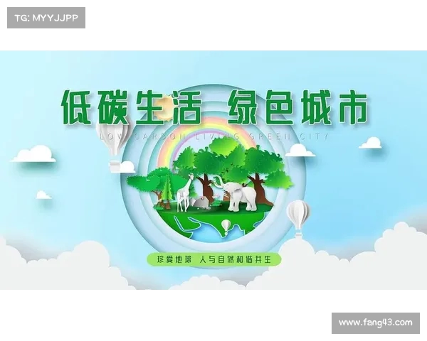环保球具助力绿色运动未来,共同推动可持续发展与低碳生活理念 环保球具助力绿色运动未来,共同推动可持续发展与低碳生活理念