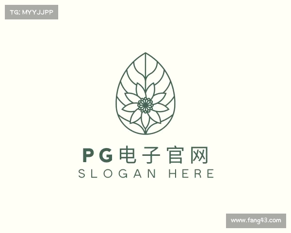 关于pg电子官网
